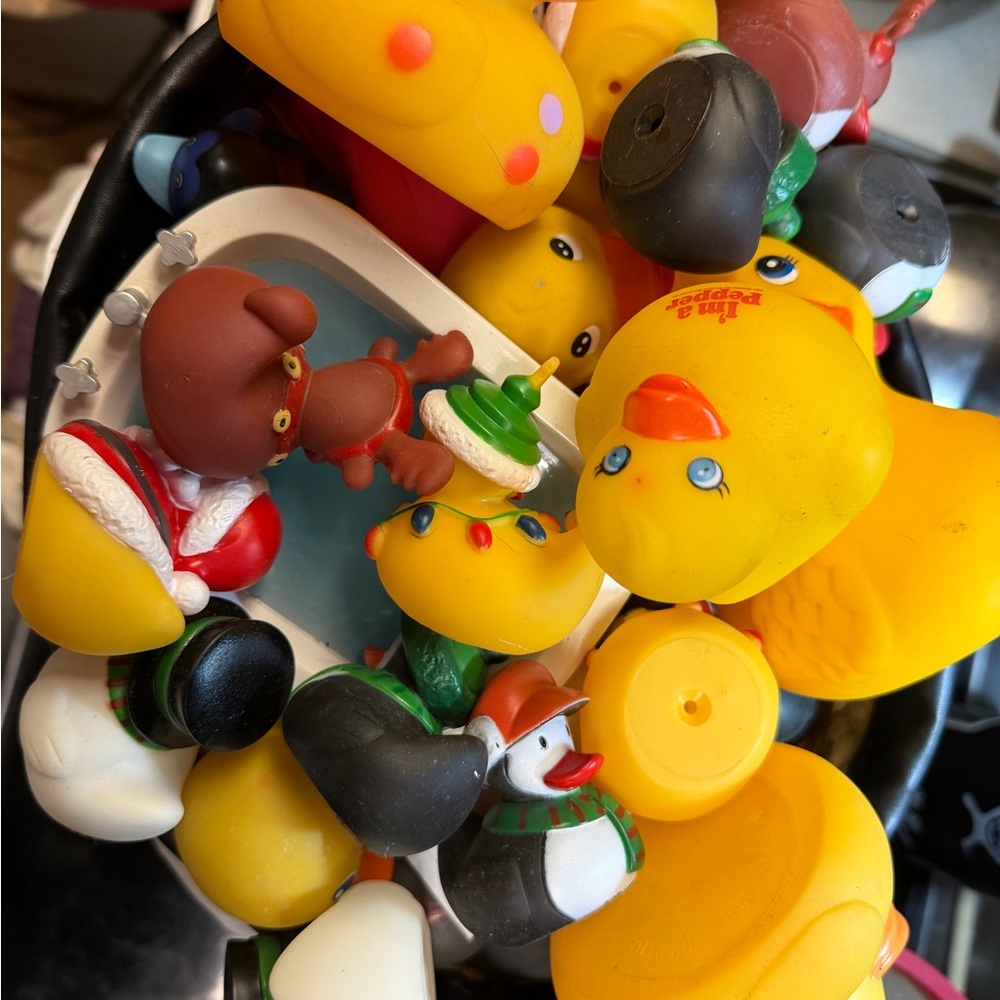 Colorful Rubber Duck Collection - Picture 8 of 10